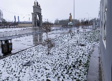 皑皑春雪，美丽冻人！