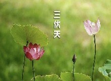 长达40多天的三伏天，别光顾着躲凉，是冬病夏治的好时机！